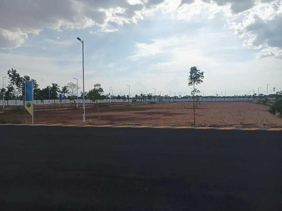 Site view 28